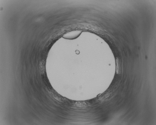 X0000061151491200512161542