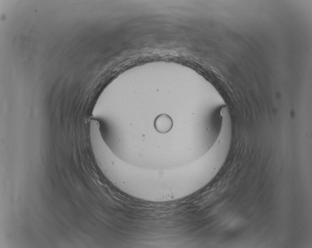 X0000061151492200512161542