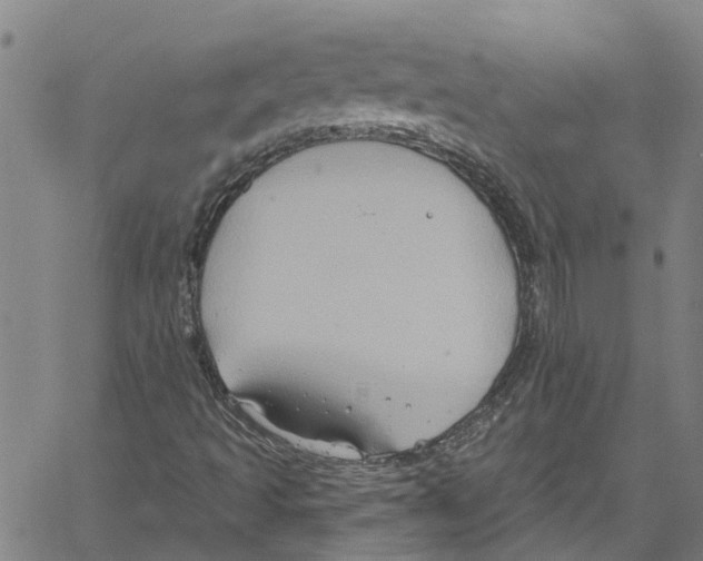 X0000061151493200512161542