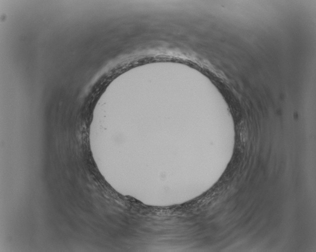 X0000061151495200512161542