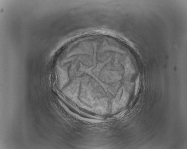 X0000061151496200512161542