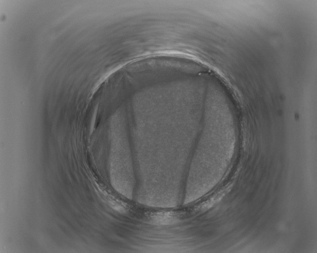 X0000061151497200512161542