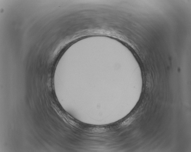 X0000061151499200512161542