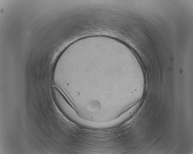 X0000061151500200512161542