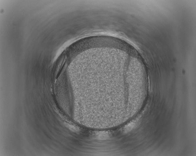 X0000061151501200512161542