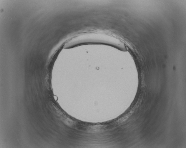 X0000061151502200512161542