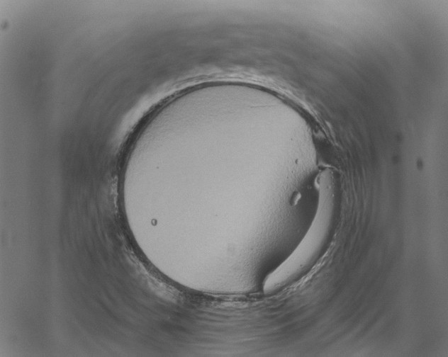 X0000061151503200512161542