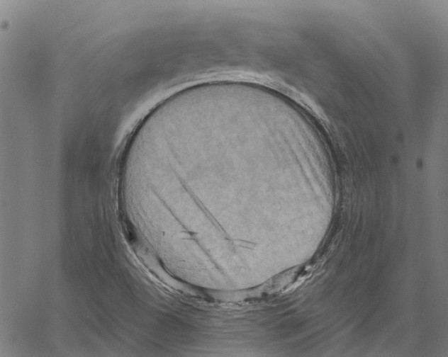 X0000061151504200512161542