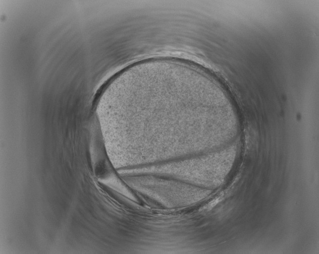 X0000061151505200512161542