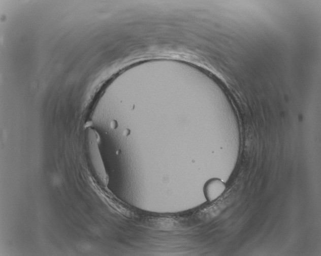 X0000061151507200512161542