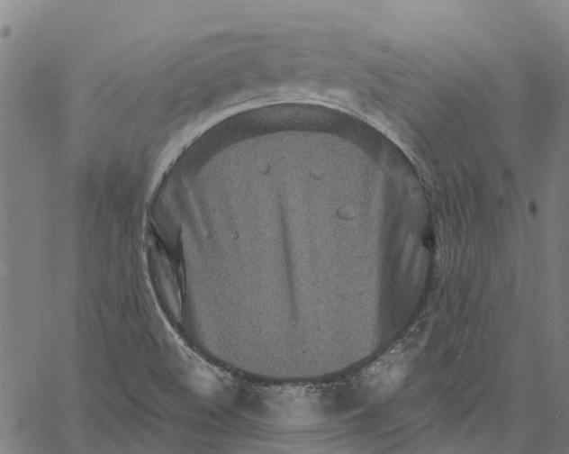 X0000061151508200512161542