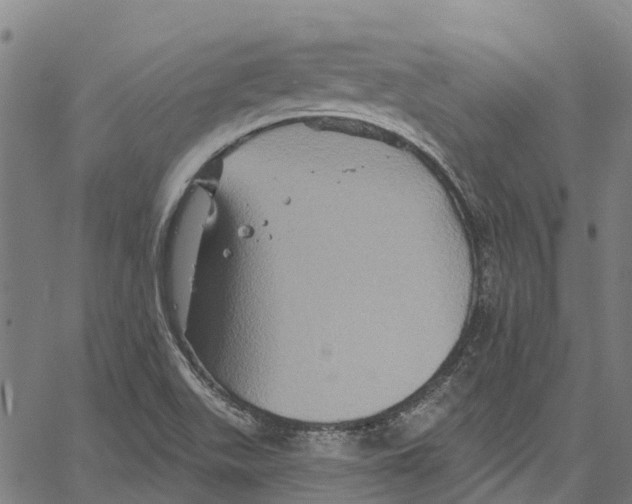 X0000061151511200512161542