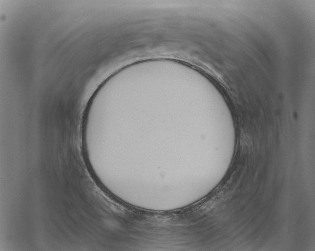 X0000061151512200512161542