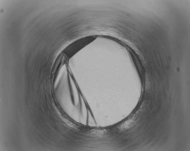 X0000061151513200512161542