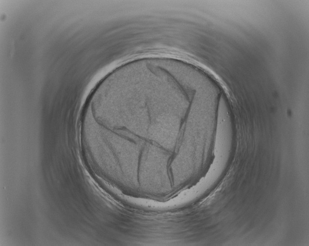 X0000061151514200512161542