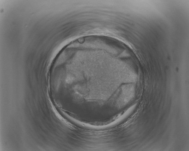 X0000061151515200512161542