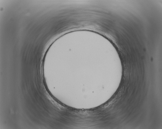 X0000061151516200512161542