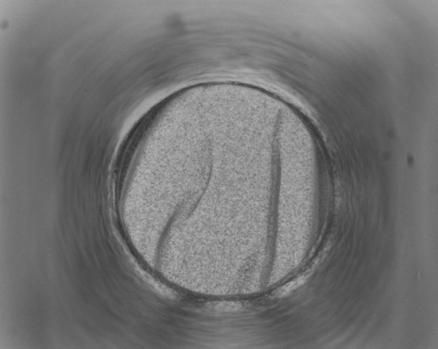 X0000061151517200512161542