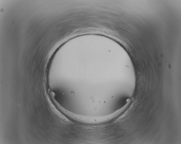 X0000061151518200512161542