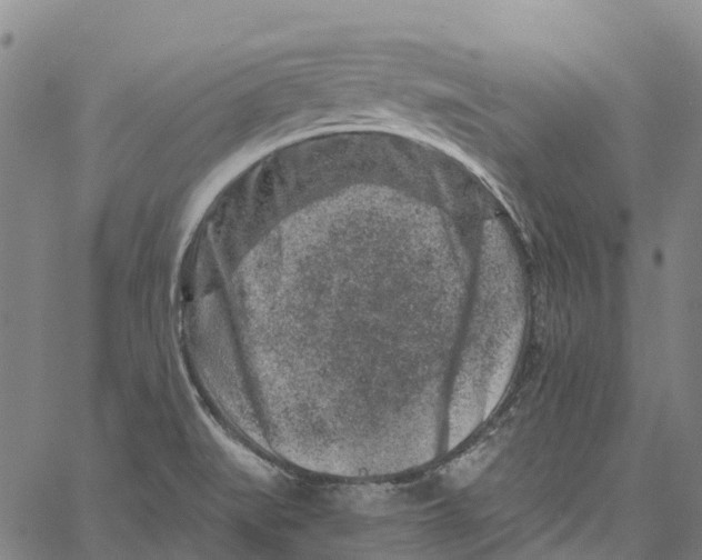 X0000061151519200512161542