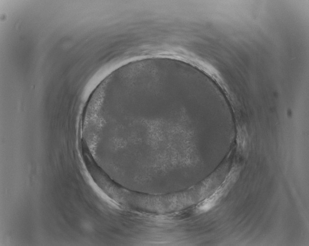 X0000061151520200512161542