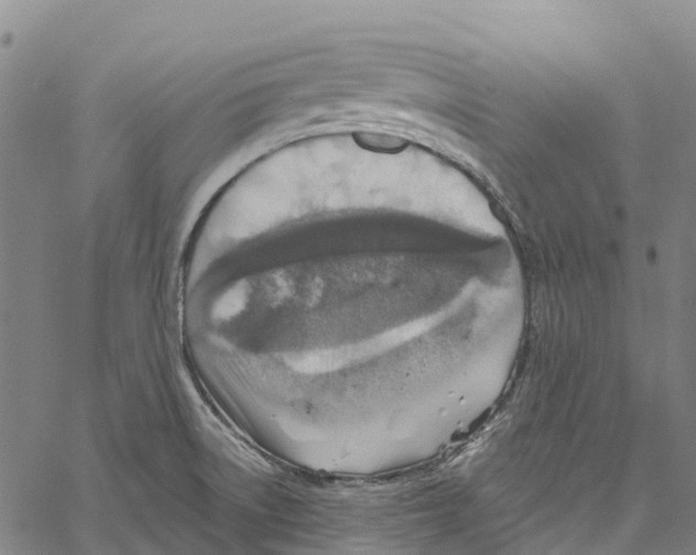 X0000061151522200512161542