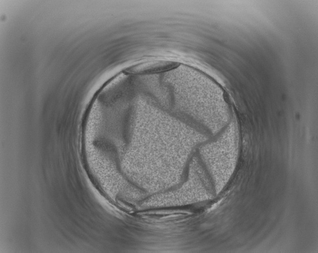 X0000061151523200512161542