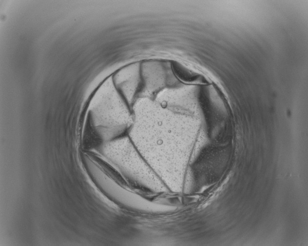 X0000061151525200512161542