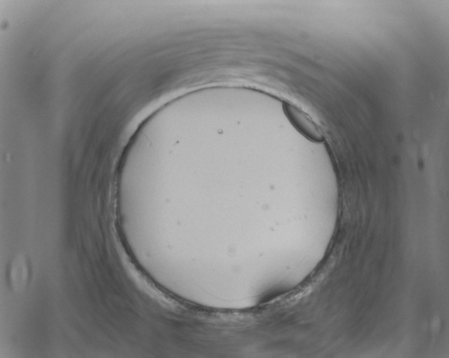 X0000061151526200512161542