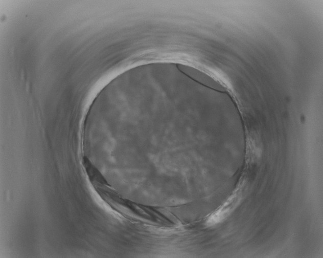 X0000061151528200512161542