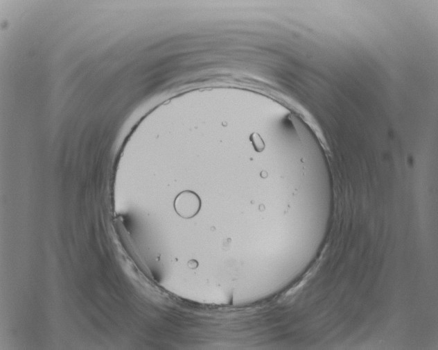 X0000061151530200512161542