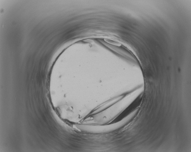 X0000061151531200512161542