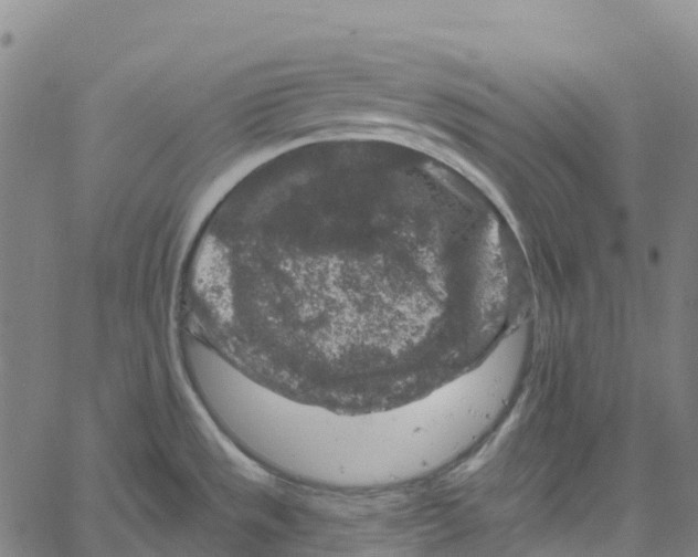 X0000061151533200512161543