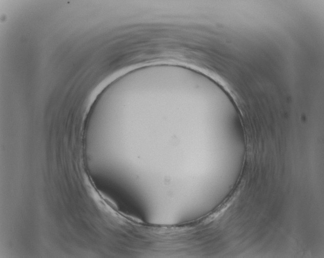 X0000061151534200512161543