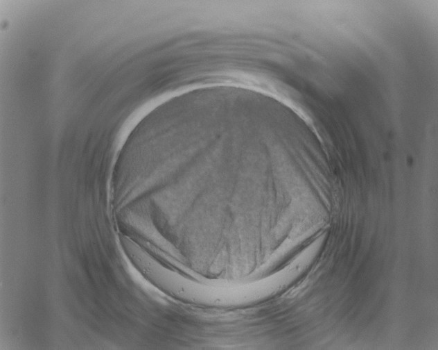 X0000061151535200512161543