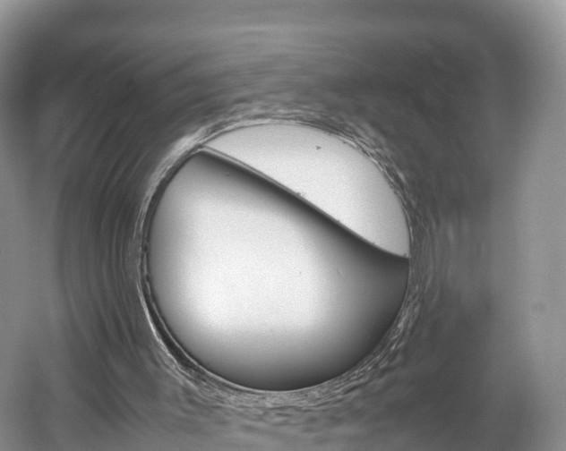 X0000061720003200512021055