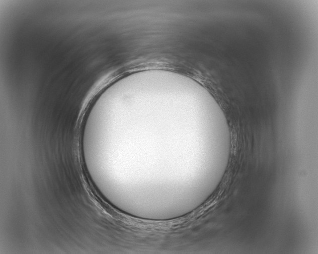 X0000061720004200512021055