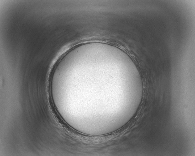 X0000061720006200512021055
