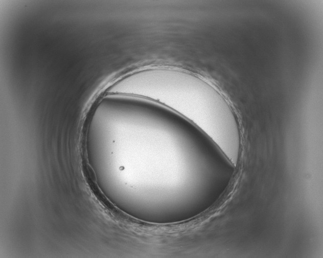 X0000061720007200512021055