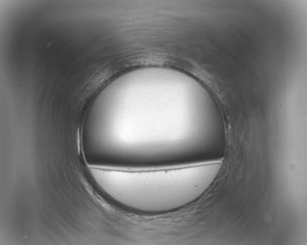 X0000061720013200512021054