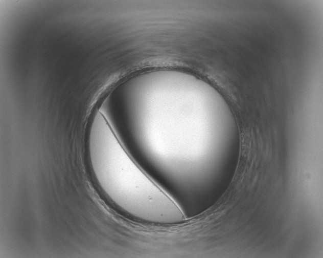 X0000061720015200512021054