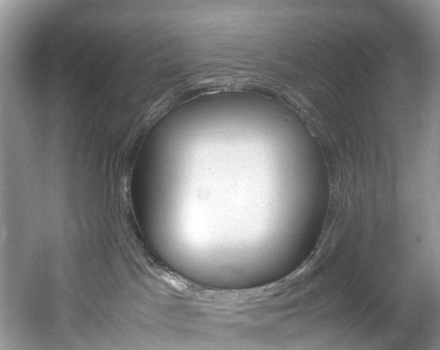 X0000061720045200512021054