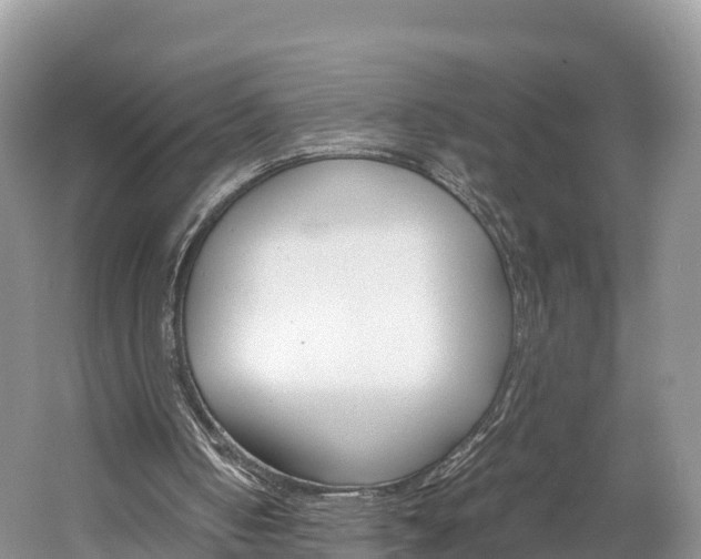 X0000061720050200512021053