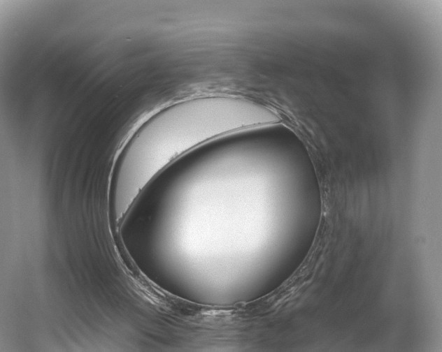 X0000061720052200512021053