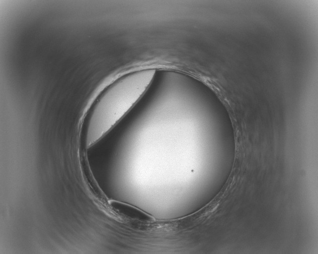 X0000061720056200512021053