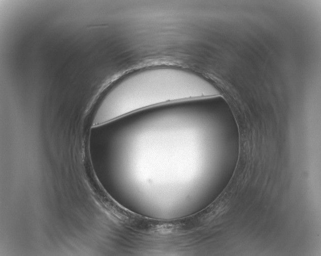 X0000061720064200512021053