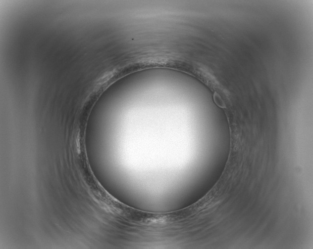X0000061720068200512021053