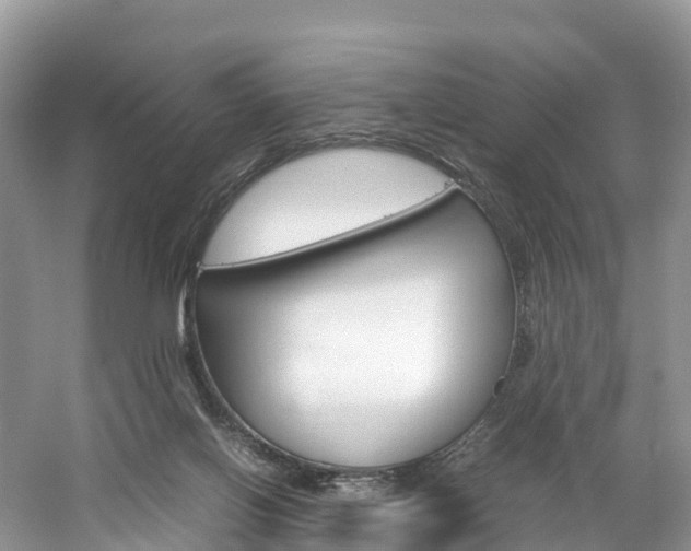 X0000061720070200512021053