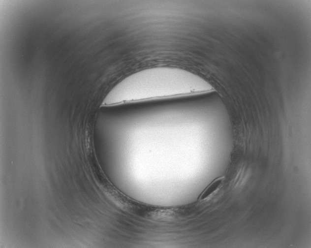 X0000061720086200512021054