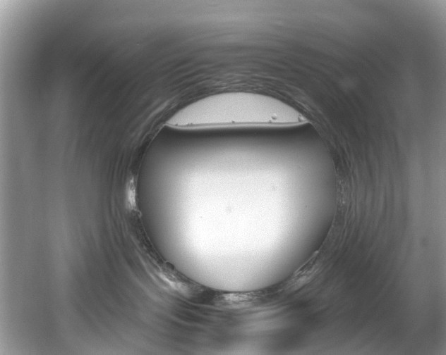 X0000061720095200512021054